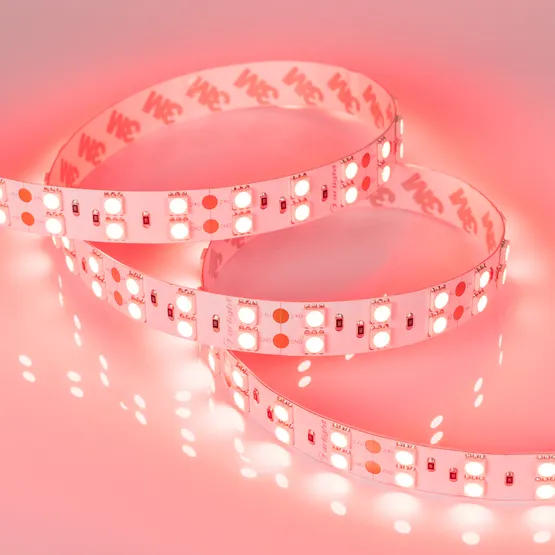 Фото #4 товара Светодиодная лента RT 2-5000 24V Red 2x2 (5060, 600 LED, LUX) (Arlight, 26 Вт/м, IP20)