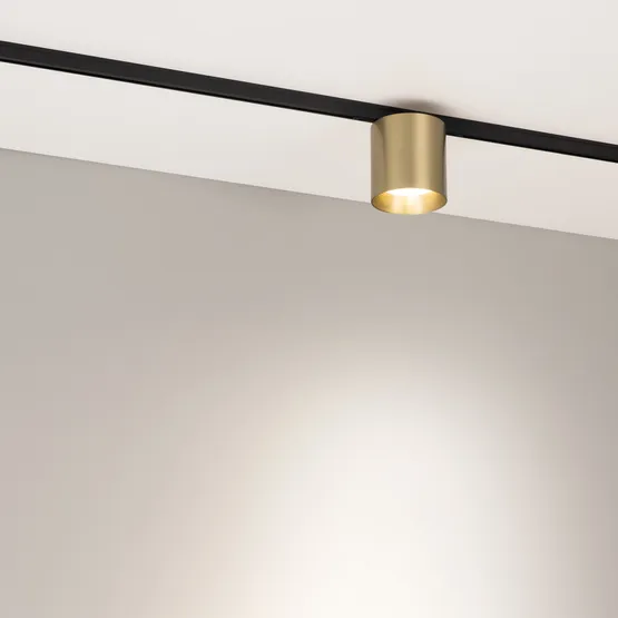 Фото #2 товара Светильник MAG-MICROCOSM-POINT-R68-7W Day4000 (BR, 36 deg, 24V) (Arlight, IP20 Металл, 5 лет)