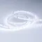 Минифото #3 товара Светодиодная лента IC 2-30000 24V Cool 8K 10mm (2835, 60 LED/m, LUX) (Arlight, 4.6 Вт/м, IP20)