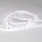 Минифото #2 товара Светодиодная лента IC 2-30000 24V White6000 10mm (2835, 60 LED/m, LUX) (Arlight, 4.6 Вт/м, IP20)